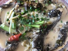 -品雅轩农家乐