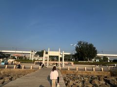 -宝安西湾红树林湿地公园