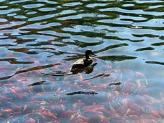 -水磨沟公园
