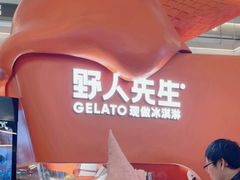-野人先生现做冰淇淋(北京王府井东方新天地店)