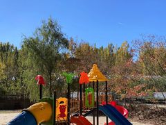 -穆湖渔村饭庄·住宿·钓鱼