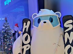 -Hopo Snow 城市滑雪空间(来福士广场购物中心店)