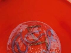 -红树林天天赶海