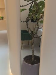 -重庆宝丽医疗美容