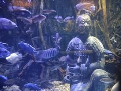 -华夏文旅海洋公园