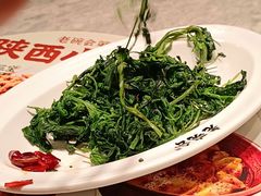 -老碗会·陕西手工面(中心书城店)