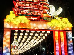 -武汉园博园(武汉自然博物馆)
