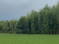 -良渚古城遗址公园