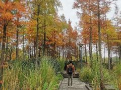 -长广溪湿地公园