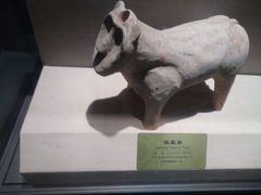 -鄂州市博物馆