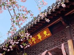 -莫愁湖公园