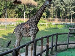 -北京野生动物园