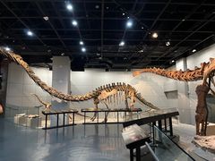 -浙江自然博物院(杭州馆)