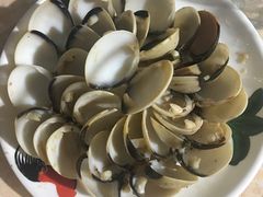 -顺德哥卜卜贝(旗舰店)