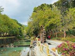 -广州白江湖森林公园