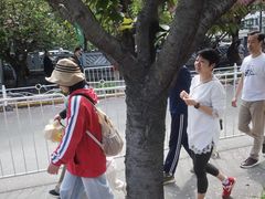 -嘉定紫藤园