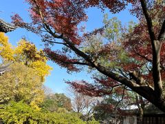 -虞山风景区