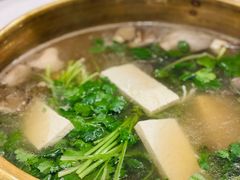 香菜-食潮汕头鲜牛馆(望京保利店)