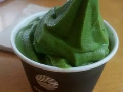 -雪绿茶博物馆