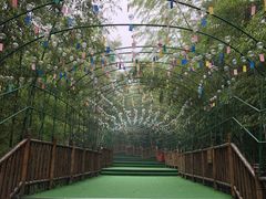 -陶祖圣境风景区