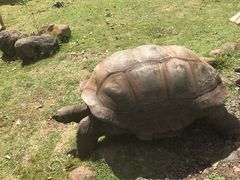 -卡塞拉自然公园
