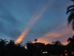 -清迈夜间动物园