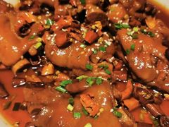 香辣美容蹄-雲蜀龙阁·金牌水煮鱼(方庄店)