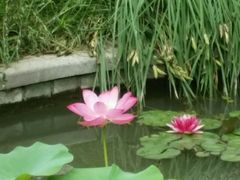 -品湘宴·湖南宁乡菜