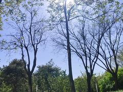 -裕龙汤泉
