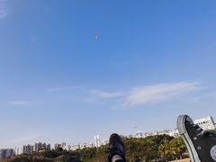 -深圳龙潭公园