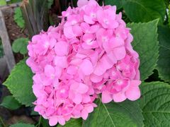 -重庆市江北嘴中央商务区中央公园