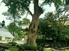 -五世皇金柚木行宫(维护中)