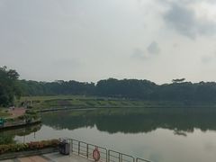 -东莞植物园