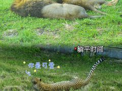 -上海野生动物园