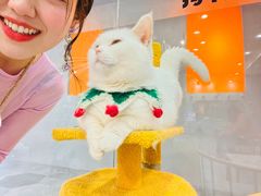 -BABIT巴比特宠物(MOMOPARK店)