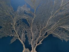 -中国湿地博物馆