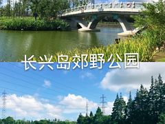 -上海长兴岛郊野公园