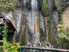 -西双版纳原始森林公园