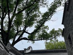 -天一阁博物院