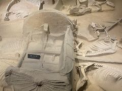 -洛阳周王城天子驾六博物馆