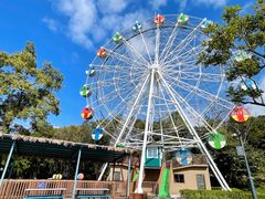 -森波拉奇妙世界