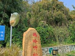 -姚林轩