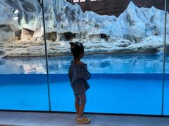 -帝企鹅自助餐厅•儿童岛•真企鹅(长隆企鹅酒店)