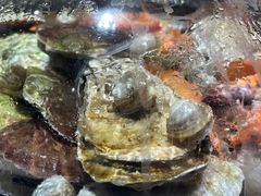 -大锅强·蒸海鲜青岛菜(吾悦广场店)