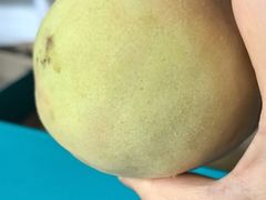 -老袁家蜜桃农场·阳山水蜜桃