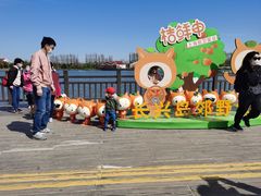 -上海长兴岛郊野公园