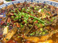 -张烤鸭·川菜·非遗冒烤鸭(青石桥店)