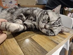 -小时光咖啡馆(北锣鼓巷店)