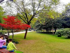 -洛阳市隋唐城遗址植物园