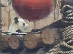 -泉州海丝野生动物世界